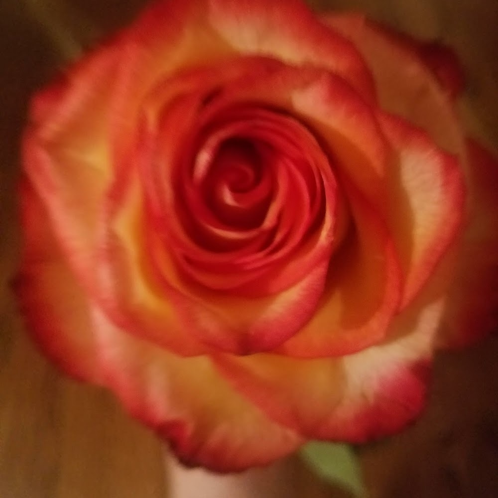 Meet your Posher, Eleni